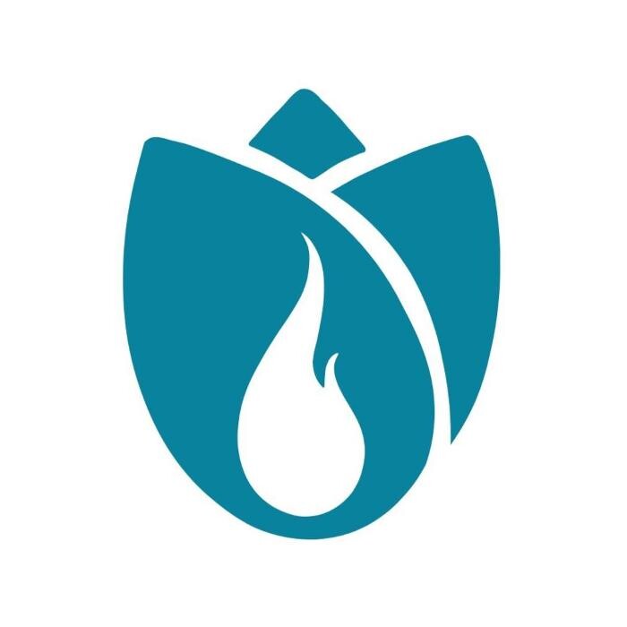 FIRE Finanzberatung Logo