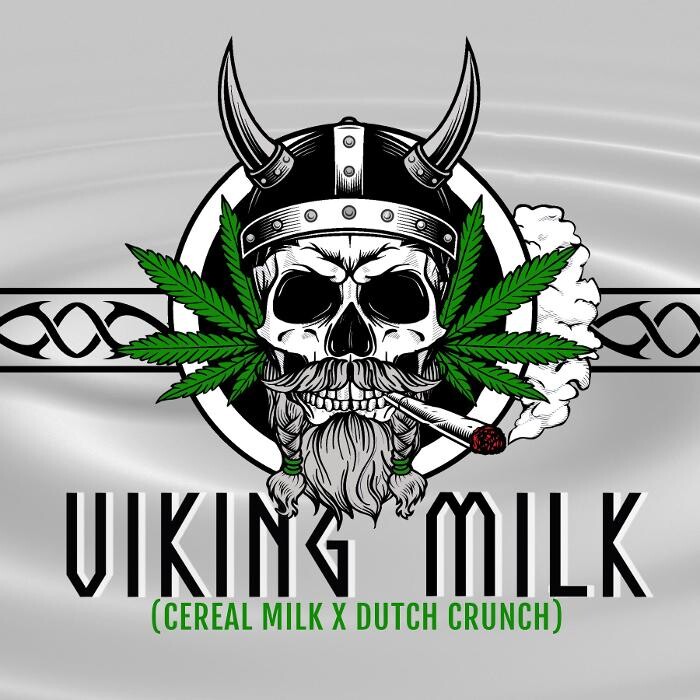 Bilder Mr Hanf - Hanfsamen, CBD, Head & Growshop