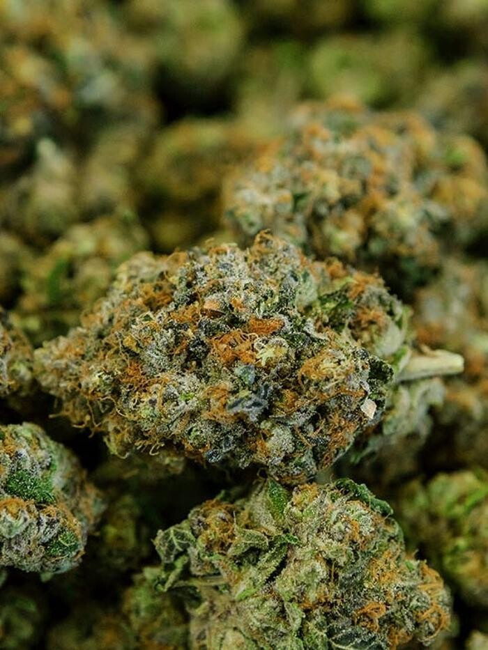 Bilder Mr Hanf - Hanfsamen, CBD, Head & Growshop