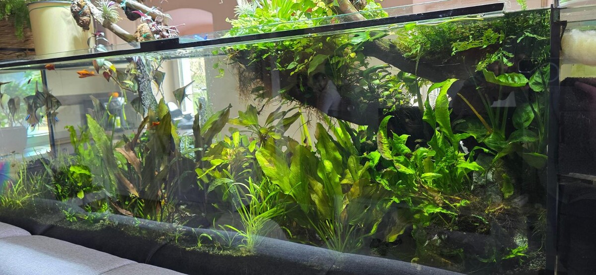 Bilder AQUAWORLD.AT