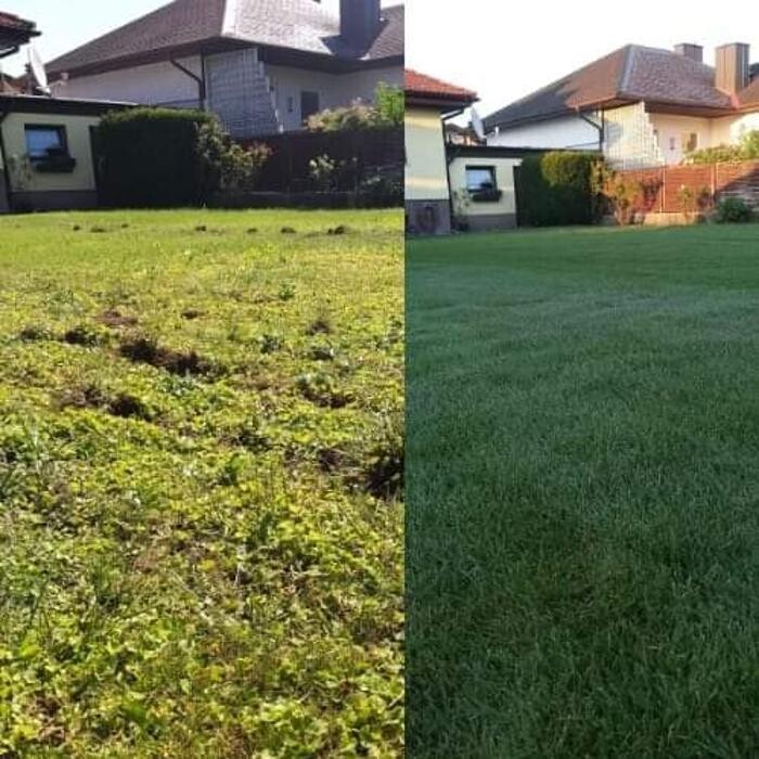 Bilder Gartenbetreuung K&A GmbH