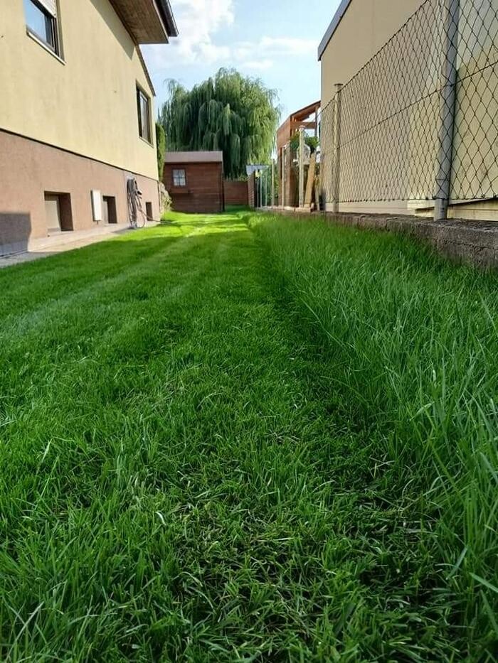 Bilder Gartenbetreuung K&A GmbH