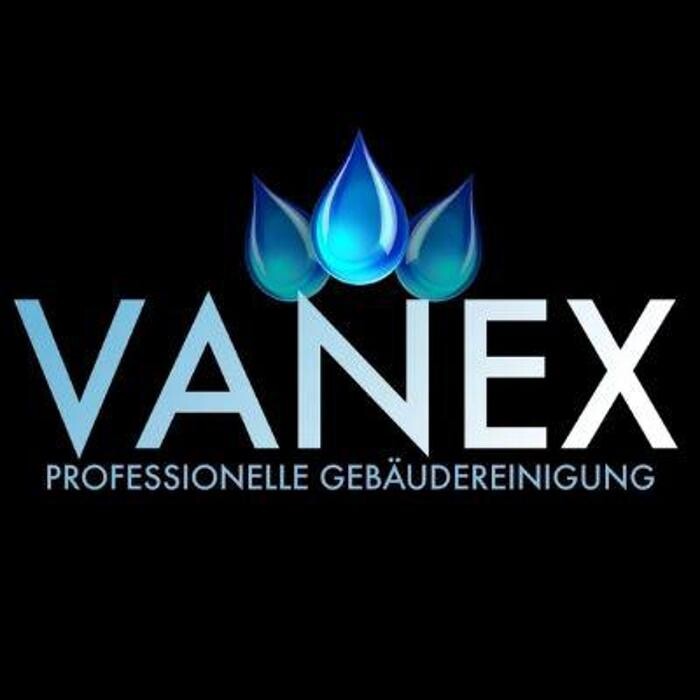 VANEX e.U. Logo