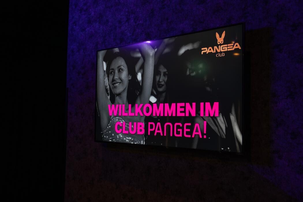 Bilder Pangea Club