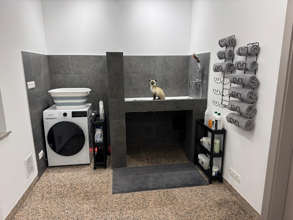Bilder Luxury Cat´ s Grooming