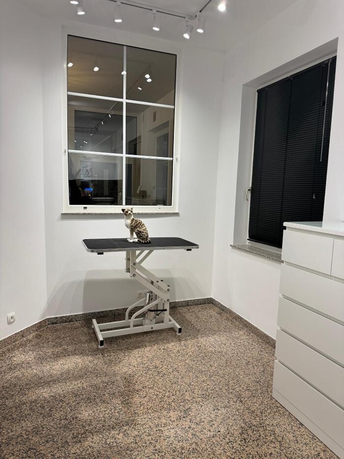 Bilder Luxury Cat´ s Grooming