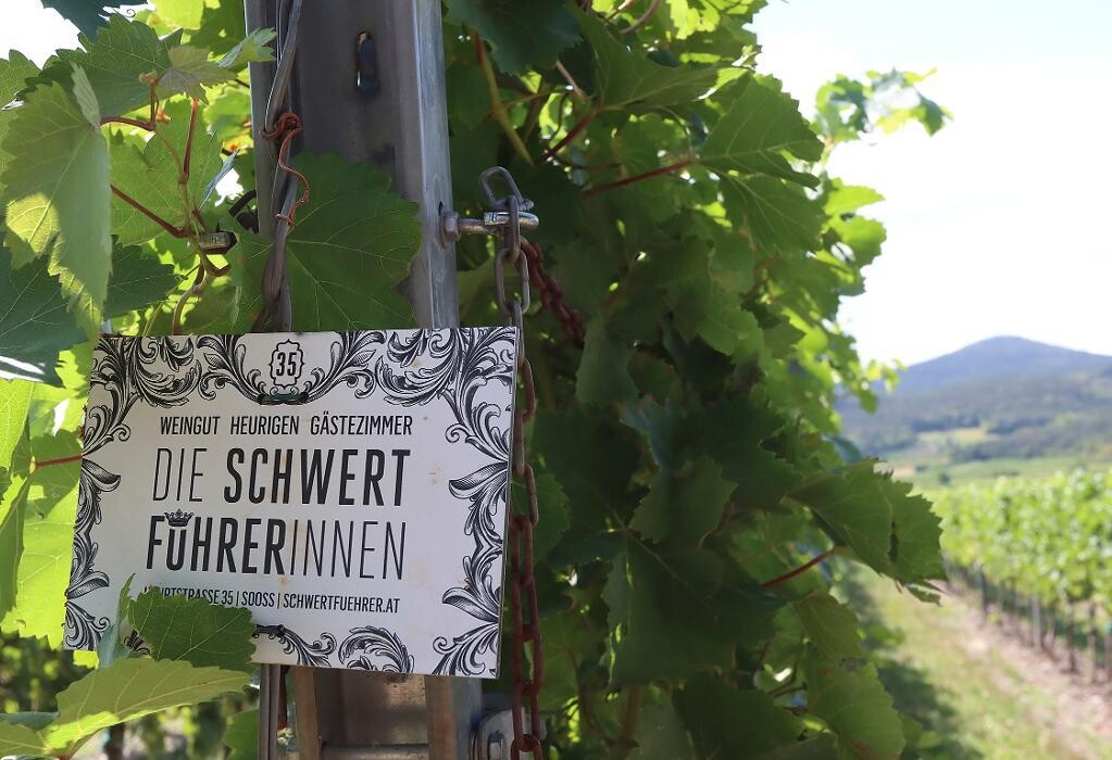 Bilder Schwertführer & Schwertführerinnen