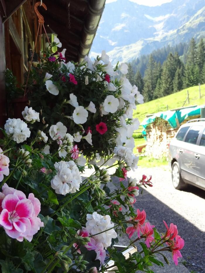 Bilder Bergkristallhütte