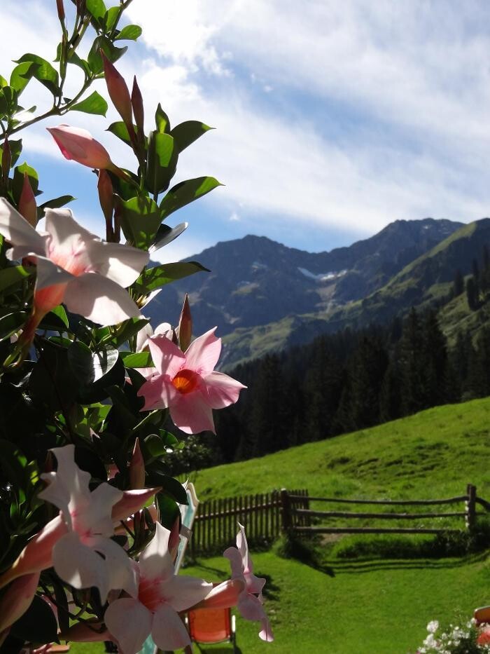 Bilder Bergkristallhütte