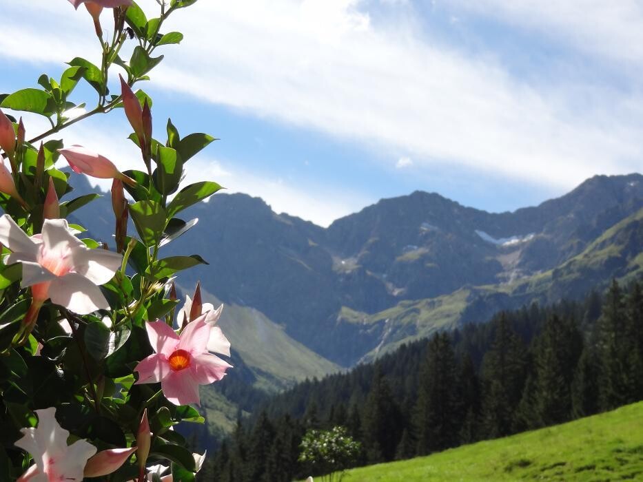 Bilder Bergkristallhütte