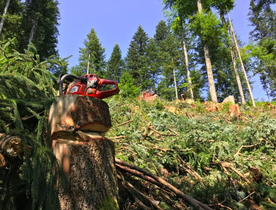 Bilder ForstLog Kitz, Stefan Pfeiffer