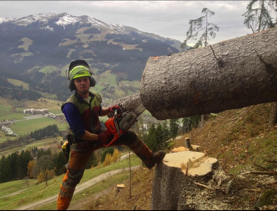 Bilder ForstLog Kitz, Stefan Pfeiffer