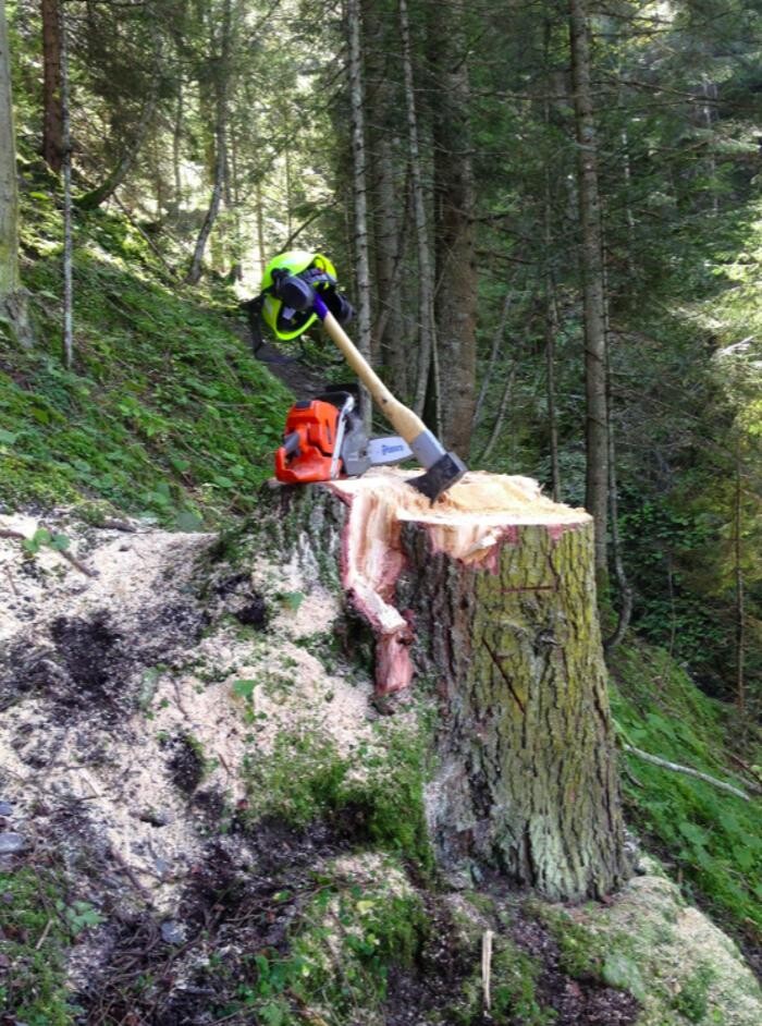 Bilder ForstLog Kitz, Stefan Pfeiffer