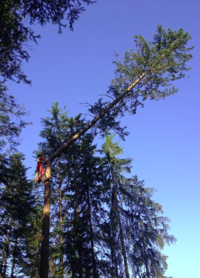 Bilder ForstLog Kitz, Stefan Pfeiffer