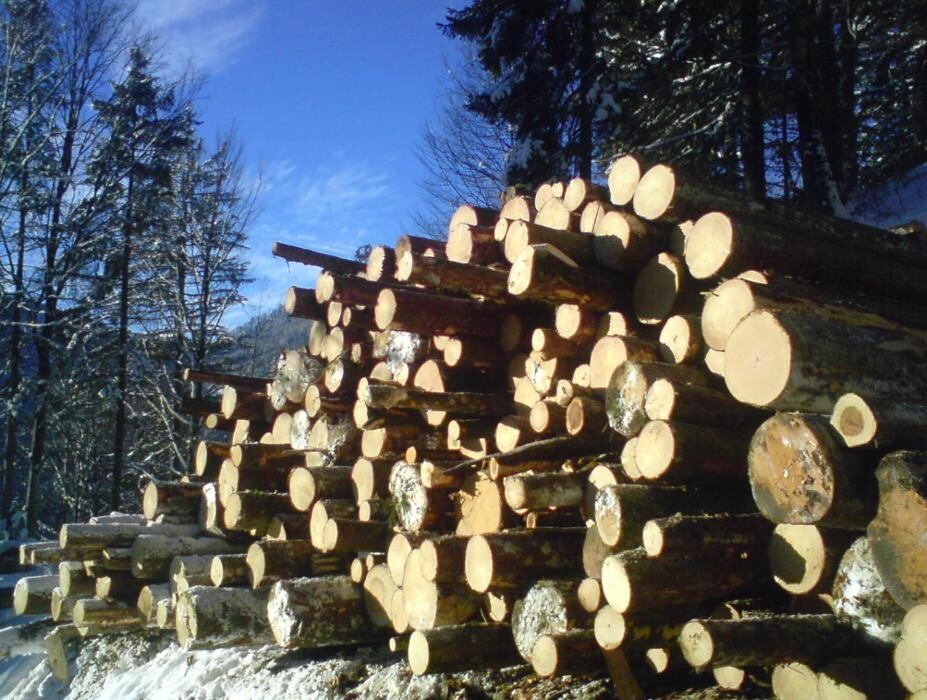 Bilder ForstLog Kitz, Stefan Pfeiffer