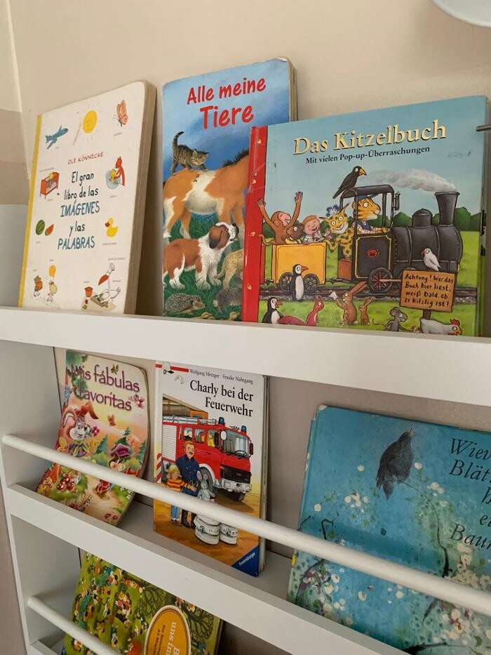 Bilder Quijote Kindergruppe