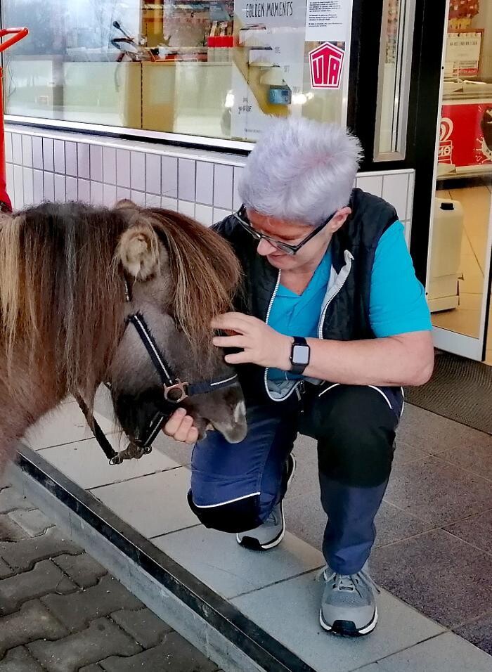 Bilder K.N.U.T. Karins Neue Unterhaltsame Tierwelt