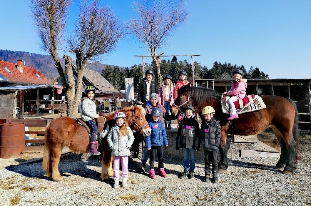 Bilder K.N.U.T. Karins Neue Unterhaltsame Tierwelt