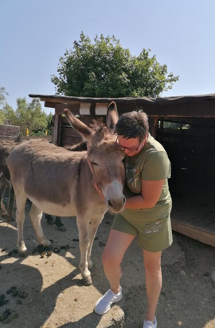 Bilder K.N.U.T. Karins Neue Unterhaltsame Tierwelt
