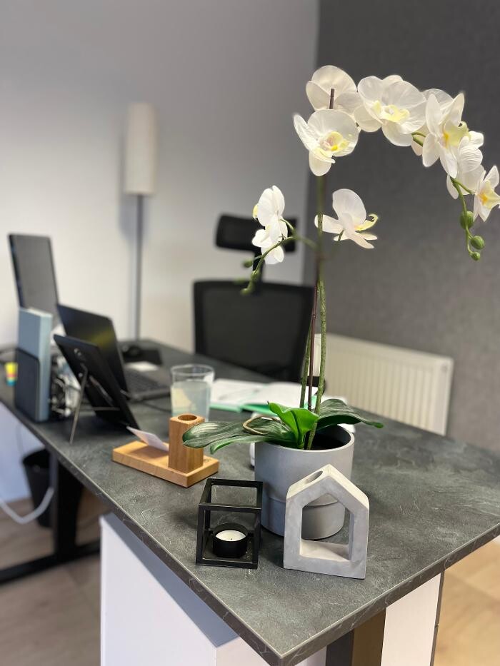 Bilder Primo - Pramhas Immobilien | Immobilienmakler