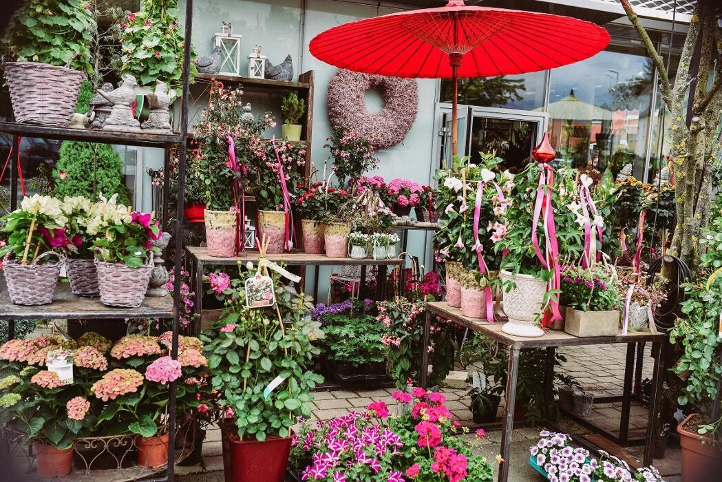 Bilder Blumen GRAN - Birgit Malner