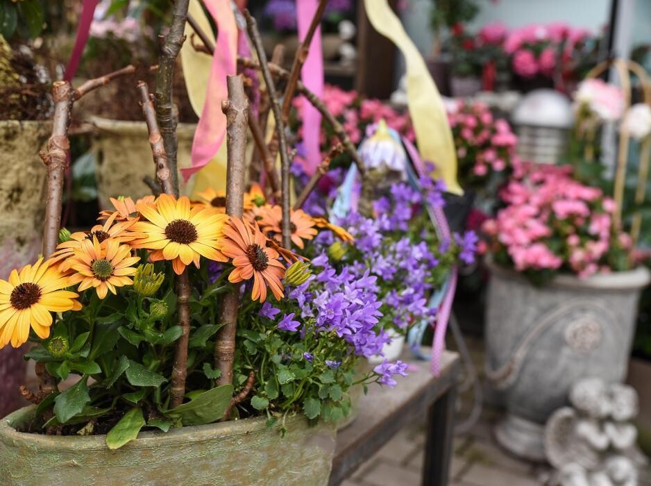 Bilder Blumen GRAN - Birgit Malner