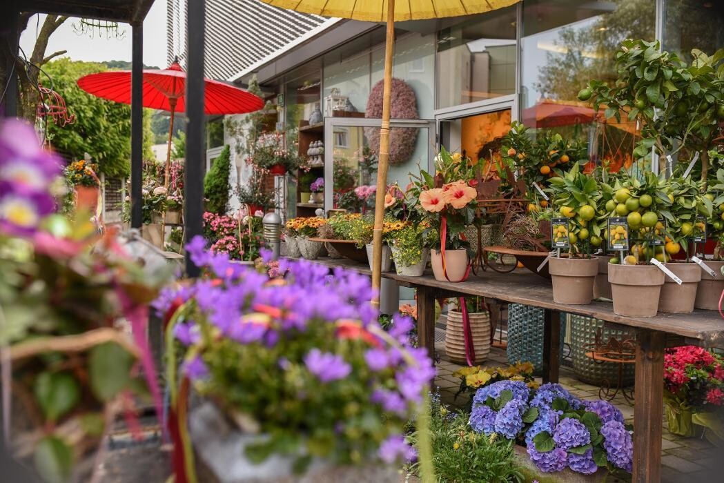 Bilder Blumen GRAN - Birgit Malner