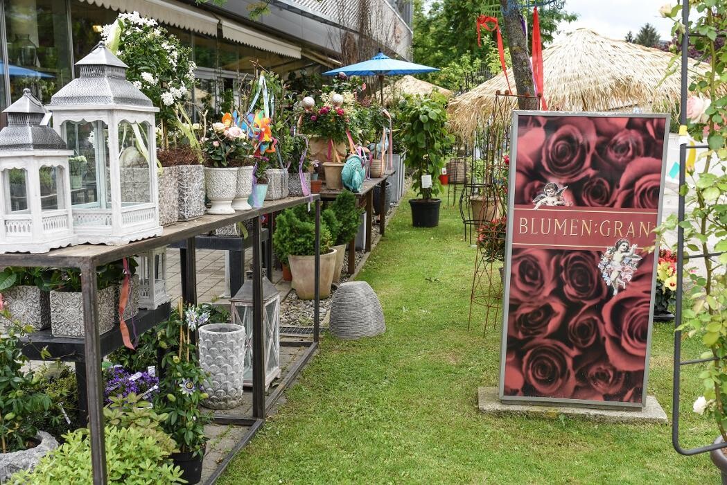 Bilder Blumen GRAN - Birgit Malner