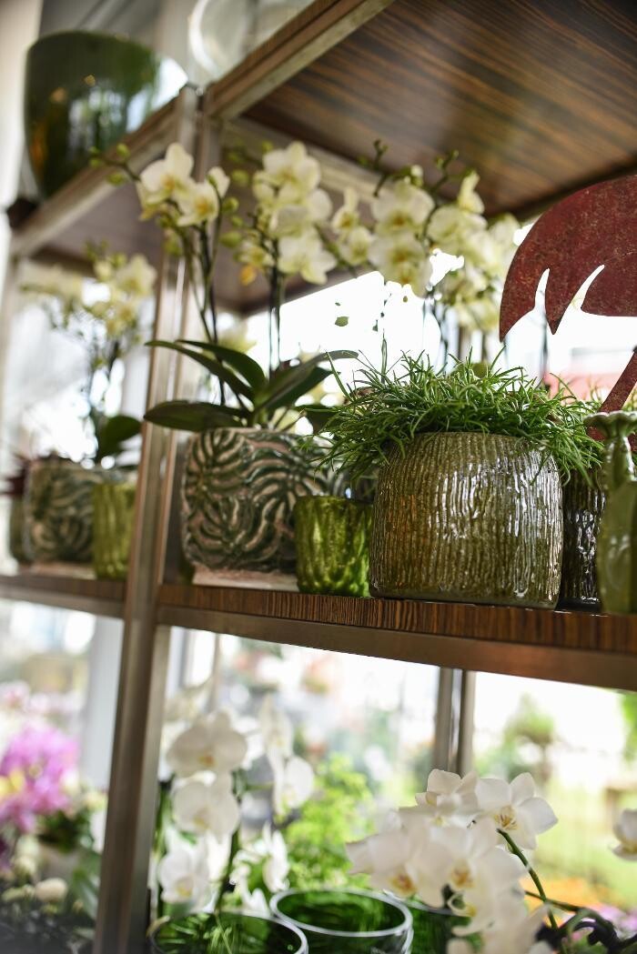 Bilder Blumen GRAN - Birgit Malner