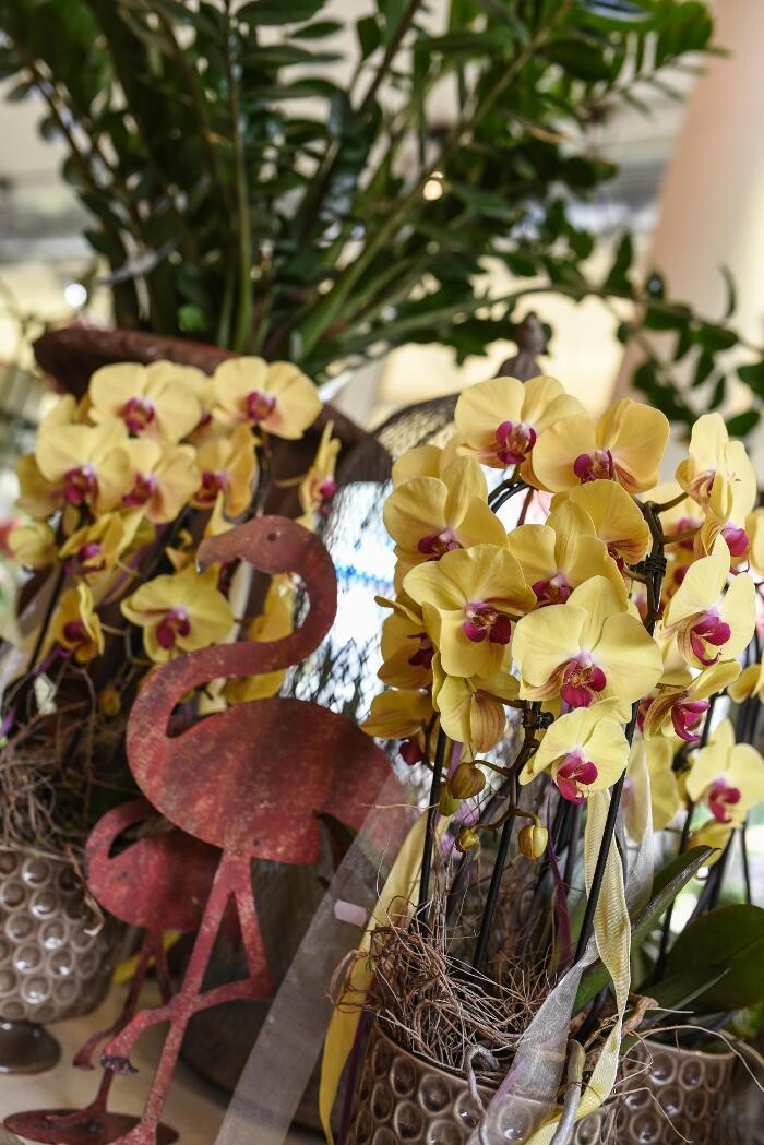Bilder Blumen GRAN - Birgit Malner