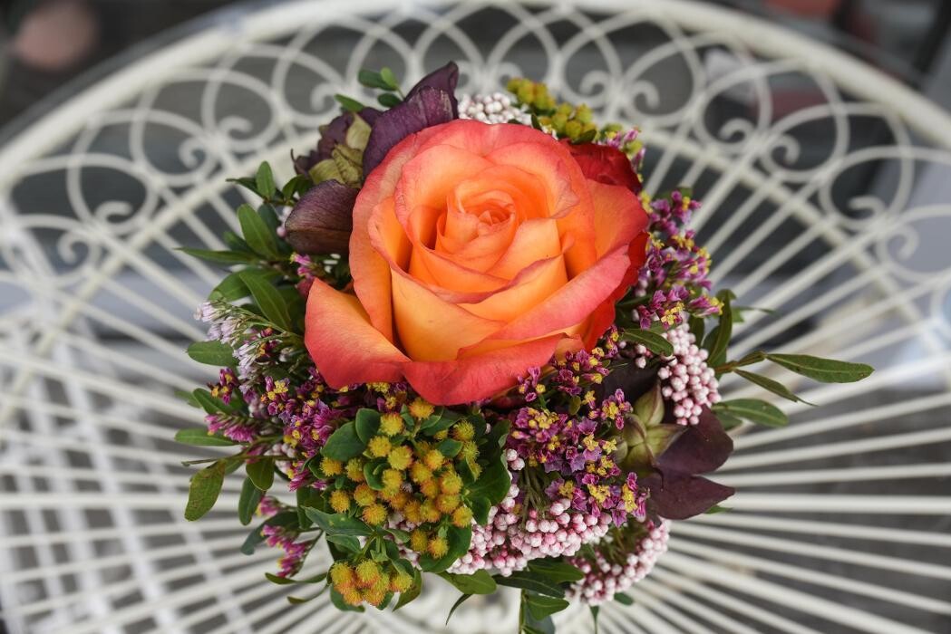 Bilder Blumen GRAN - Birgit Malner