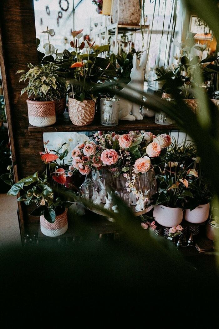 Bilder Blumen GRAN - Birgit Malner