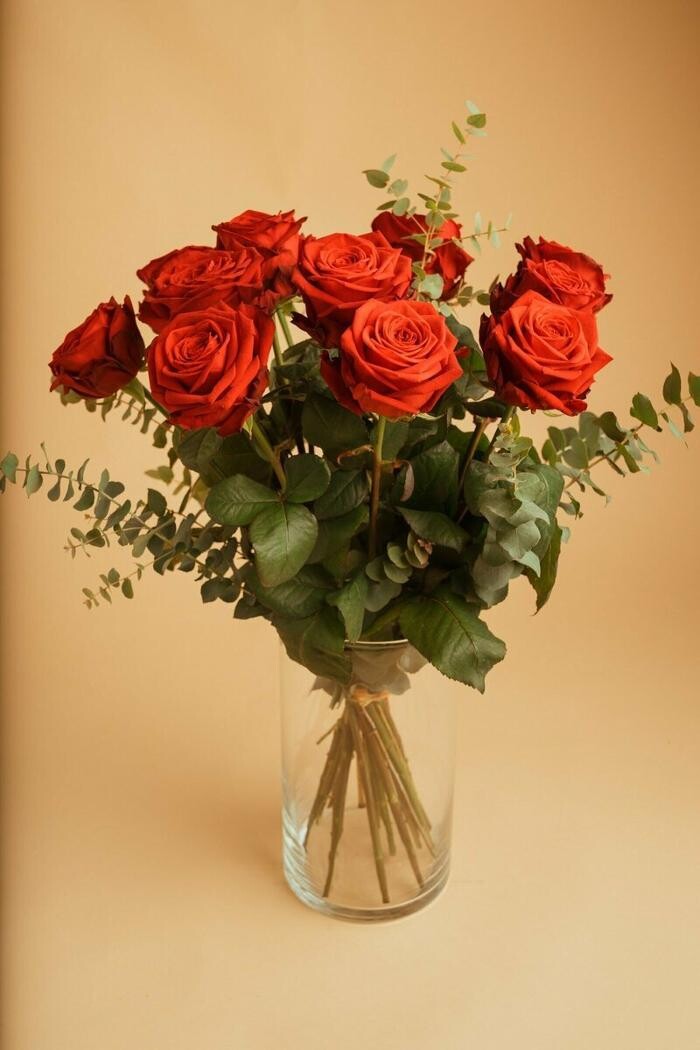 Bilder Blumen GRAN - Birgit Malner