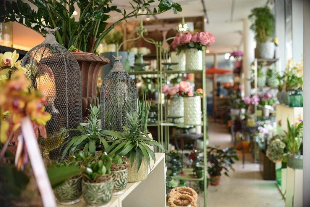 Bilder Blumen GRAN - Birgit Malner