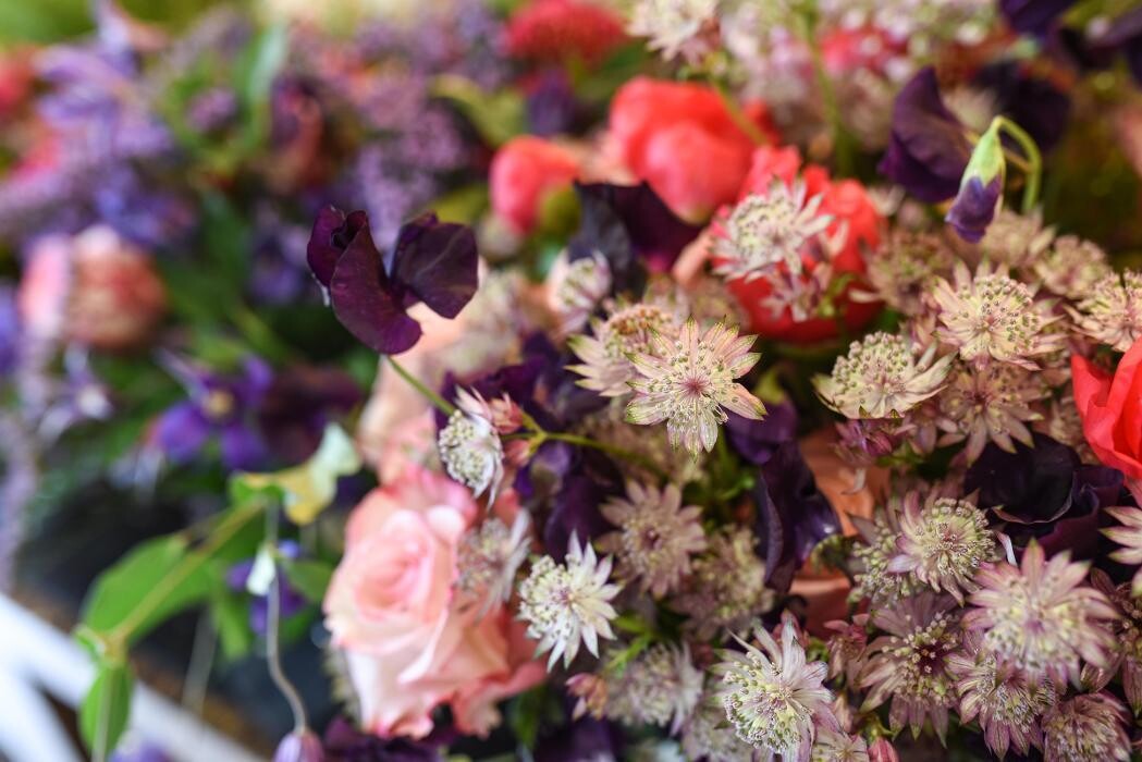 Bilder Blumen GRAN - Birgit Malner