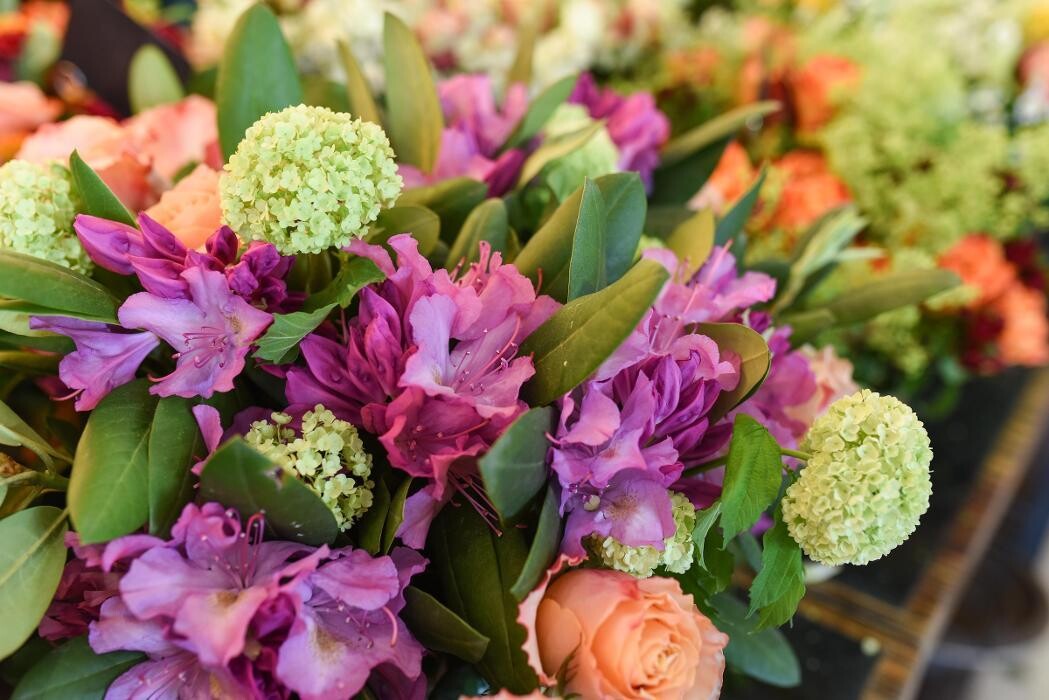 Bilder Blumen GRAN - Birgit Malner