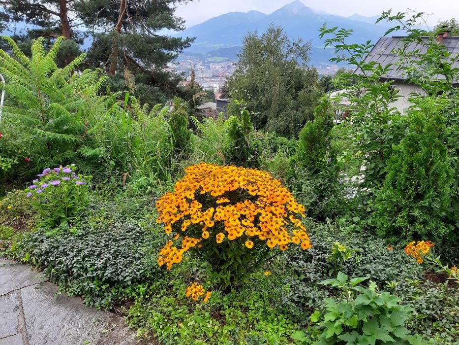 Bilder Gogartech - Gartenservice & Hausbetreuung in Innsbruck