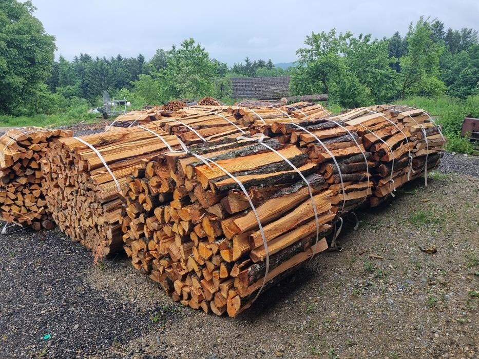 Bilder Forstservice Hahn