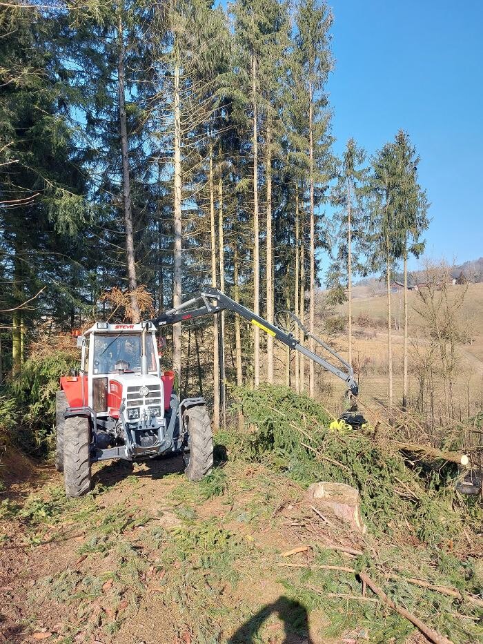Bilder Forstservice Hahn