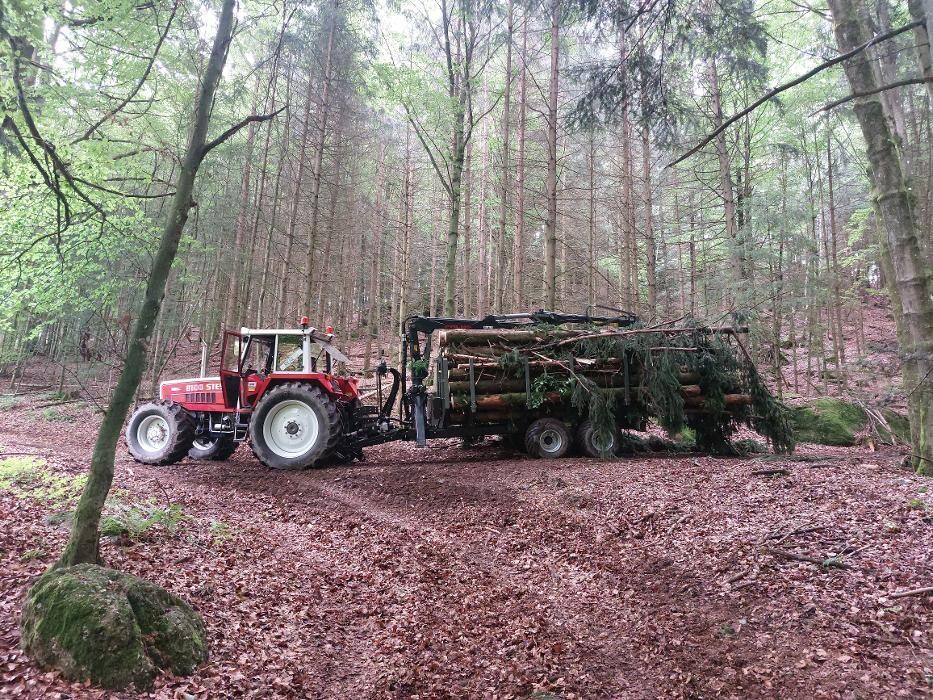 Bilder Forstservice Hahn