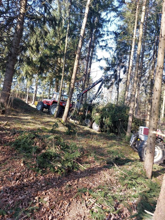 Bilder Forstservice Hahn