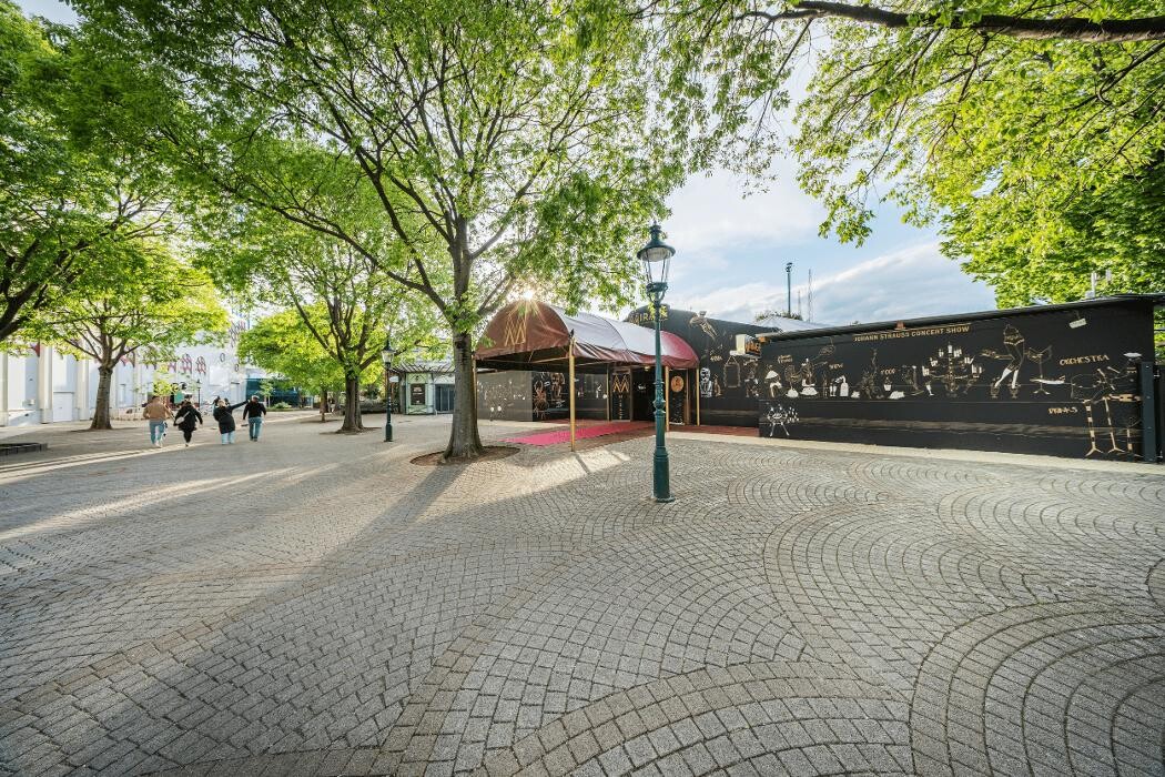 Bilder Strauss Dinner Show