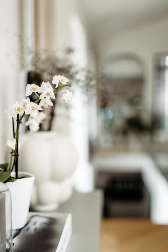 Bilder Steindl Immobilien