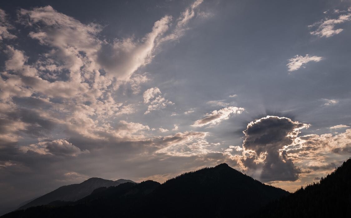 Bilder BuchackerAlm - BlackAngusAlm