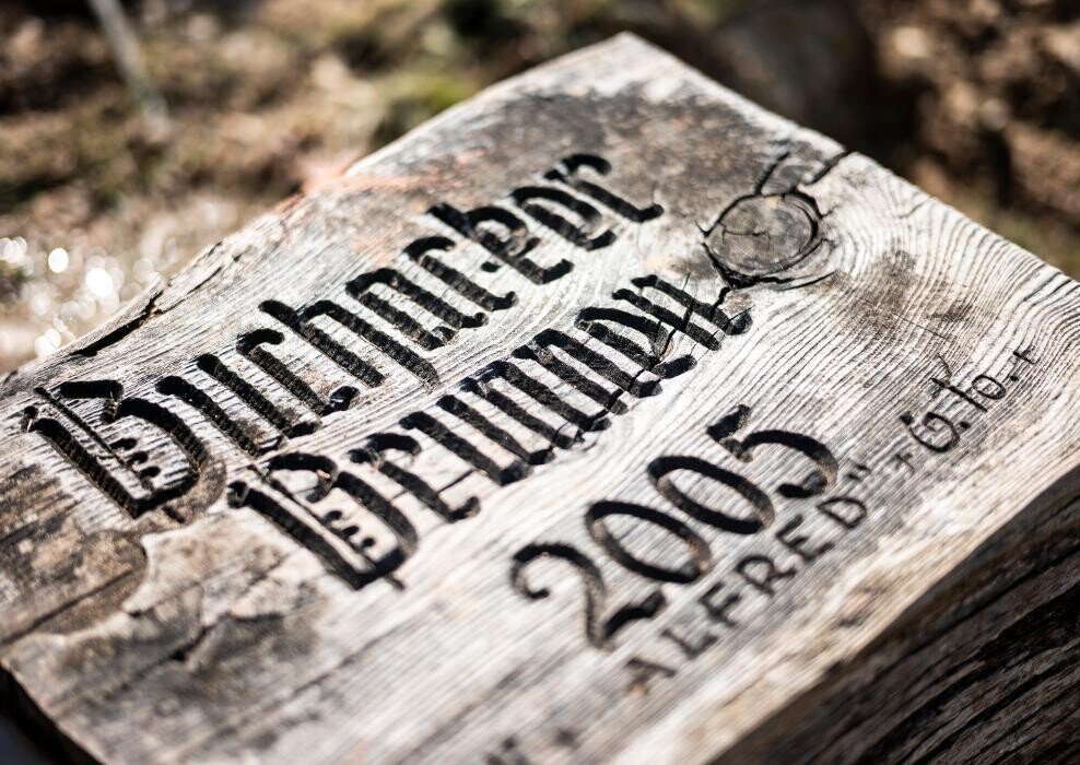 Bilder BuchackerAlm - BlackAngusAlm