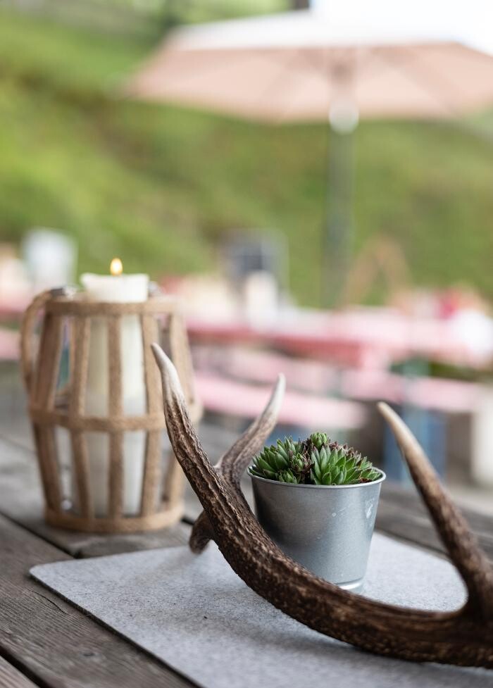 Bilder BuchackerAlm - BlackAngusAlm