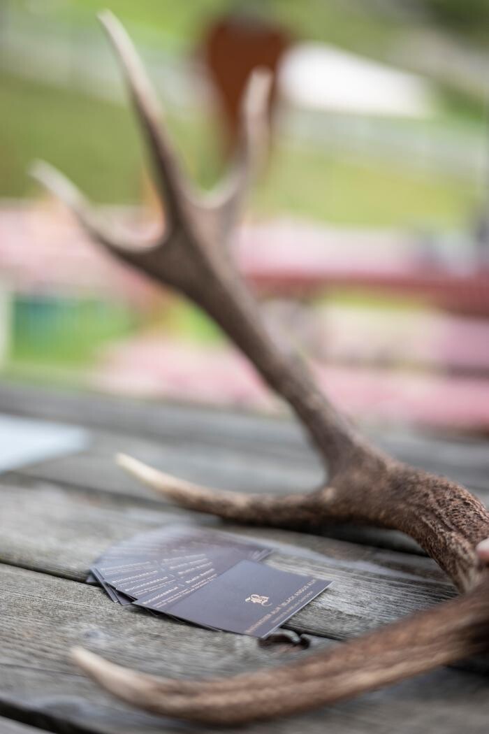 Bilder BuchackerAlm - BlackAngusAlm