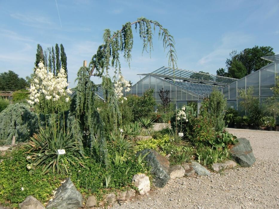 Bilder AustroPalm - Bio-Gärtnerei