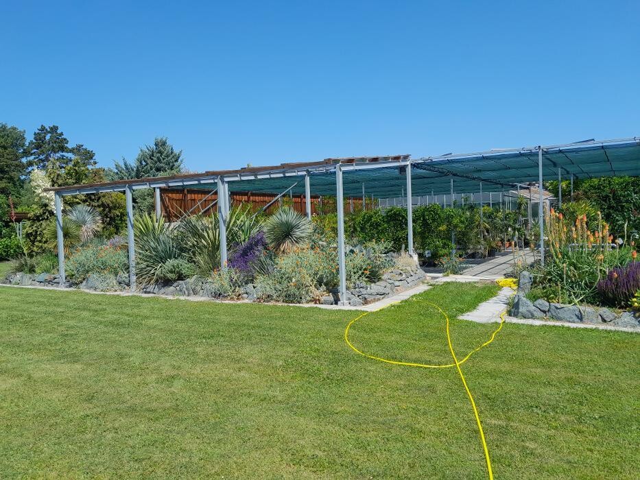 Bilder AustroPalm - Bio-Gärtnerei