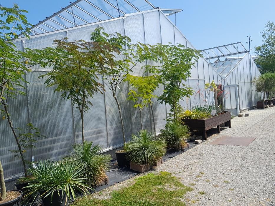 Bilder AustroPalm - Bio-Gärtnerei